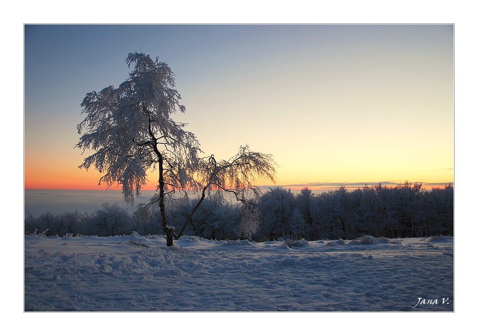 CSC_0475