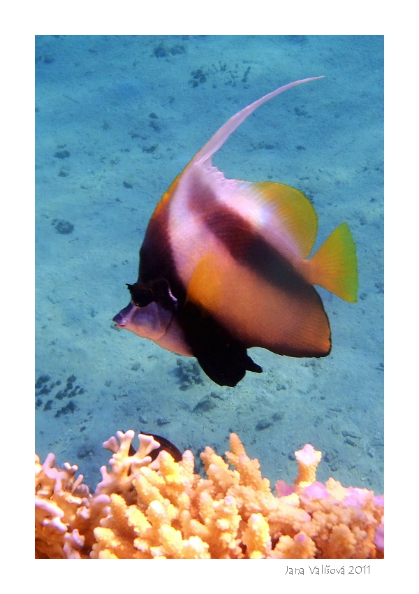 P9270061