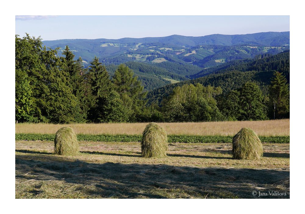 P1010534_Beskydy