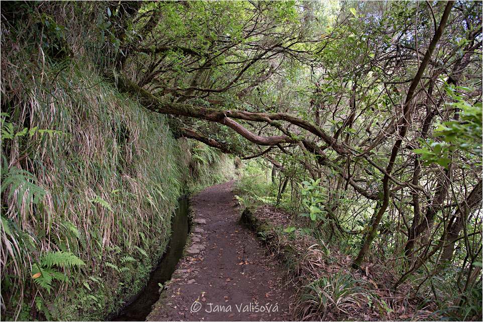 Caldeirao Verde