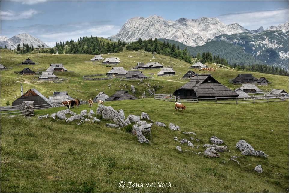 Velika planina