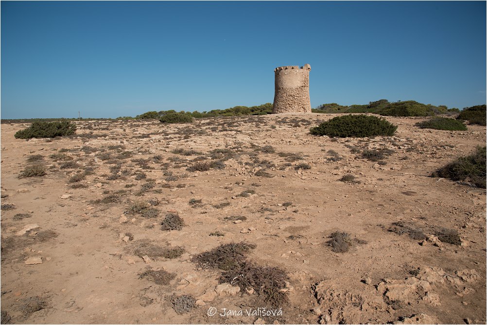 Mallorca VI