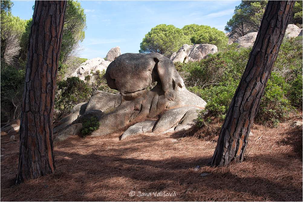 Sardinie II
