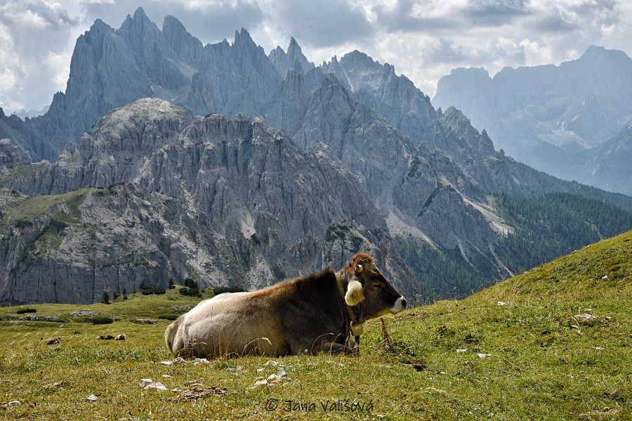 Dolomity 8