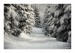 CSC_0478
