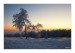 CSC_0475