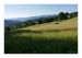 P1010530_Beskydy