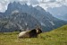 Dolomity 8